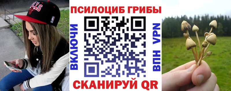 купить Полтавская Галлюциногенные грибы прущие грибы